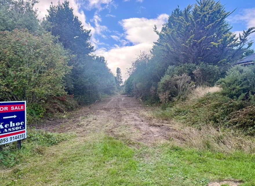 C. 3 Acres Forestry Road, Coolree