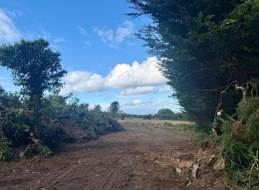 C. 3 Acres Forestry Road, Coolree
