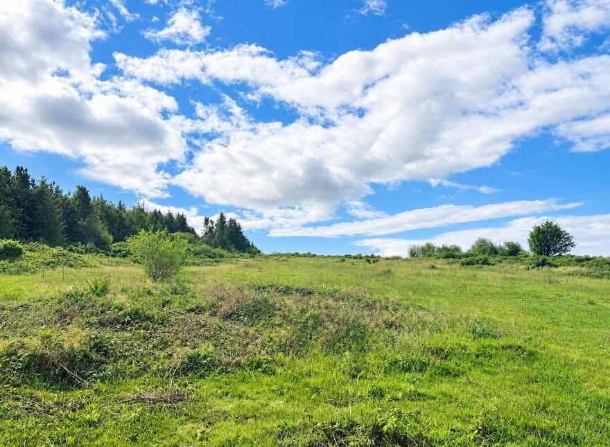 C. 3 Acres Forestry Road, Coolree