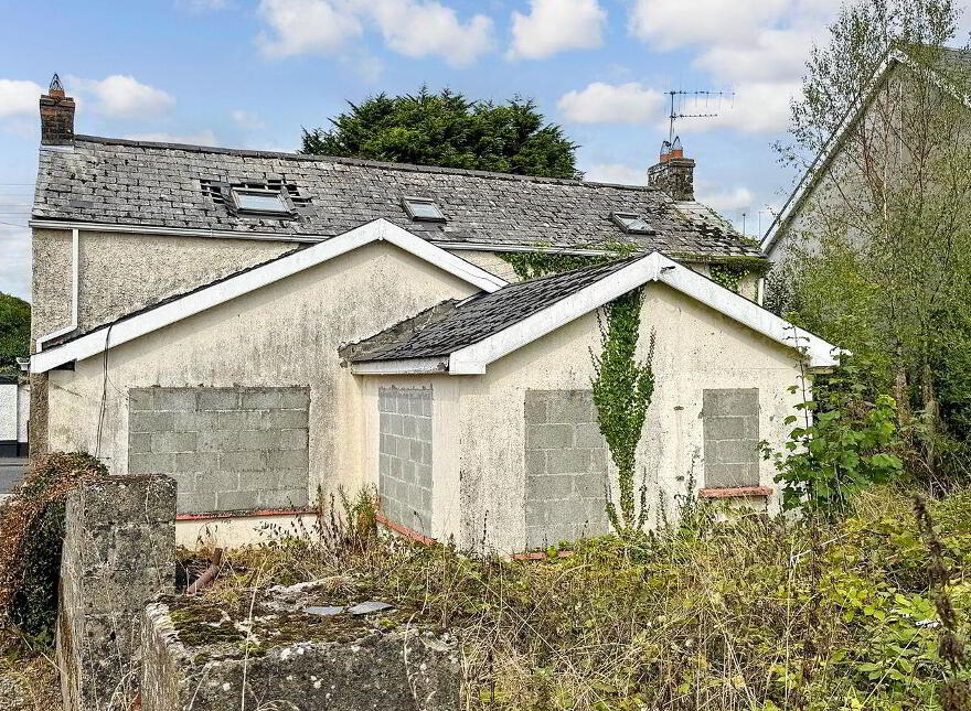Chapel Street, Ballinakill