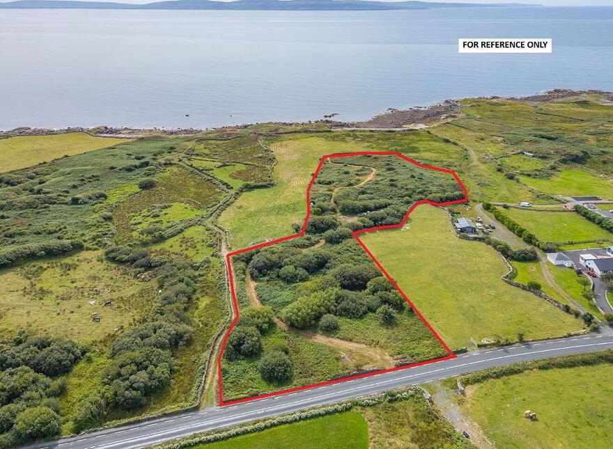 Derryloughaun West, Furbo photo