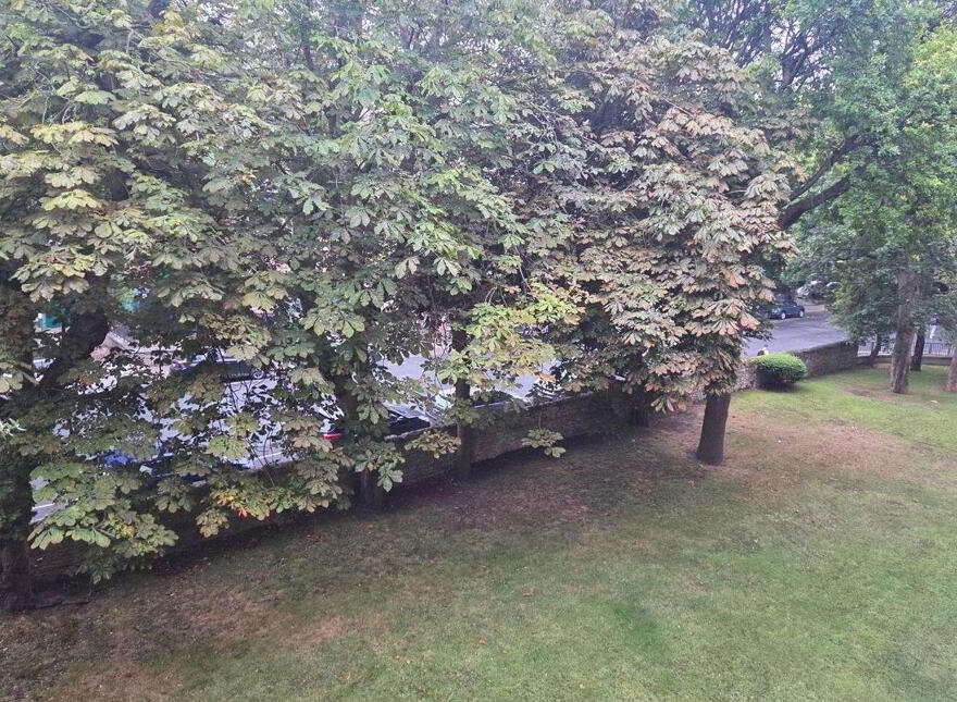 Apartment 24 Burleigh Court, Ballsbridge, Ballsbridge, D04KX76