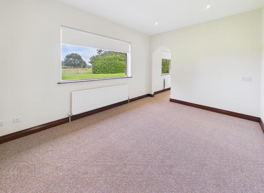 2 Dukestown Lane, Lurgan, BT66 8TB