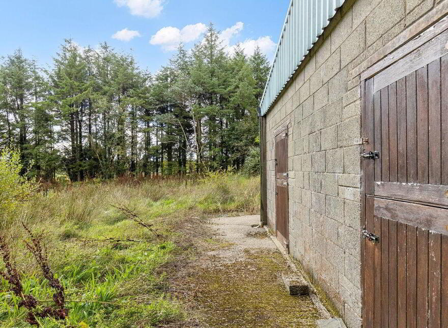 Fort Lodge, Forth Commons, Coolree, Y35Y6F9