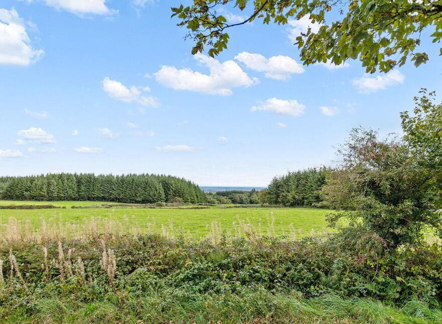 Fort Lodge, Forth Commons, Coolree, Y35Y6F9