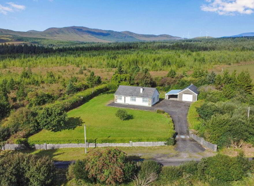 Islandboy, Derrymore, Derrymore, V23WV62