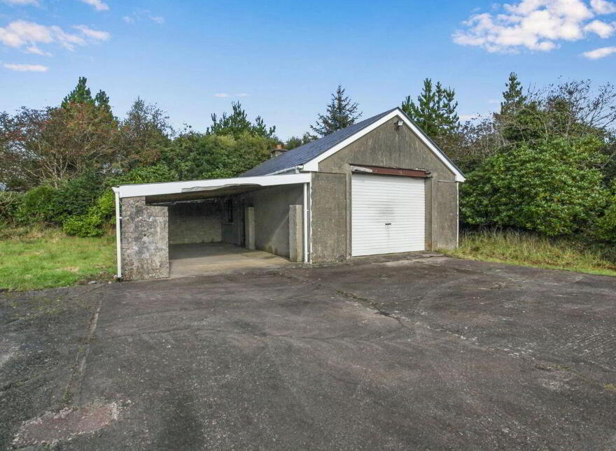 Islandboy, Derrymore, Derrymore, V23WV62