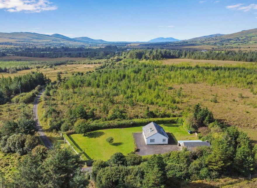 Islandboy, Derrymore, Derrymore, V23WV62