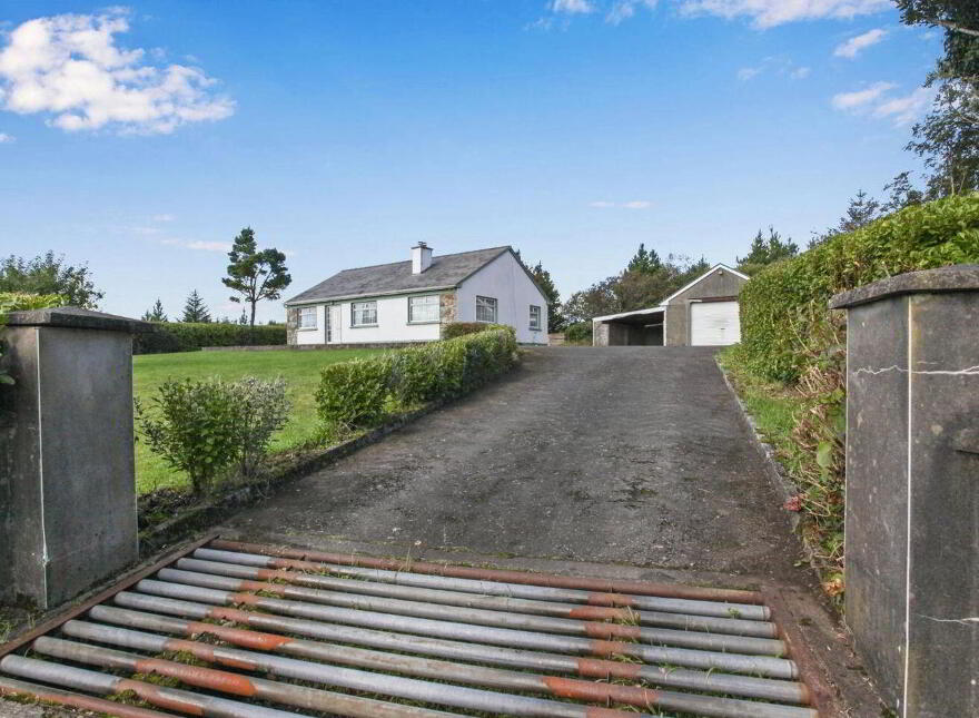Islandboy, Derrymore, Derrymore, V23WV62