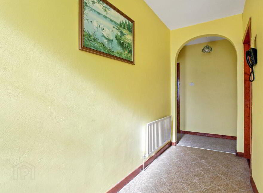 Islandboy, Derrymore, Derrymore, V23WV62