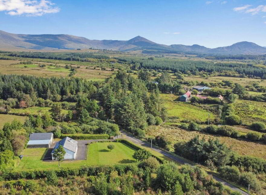 Islandboy, Derrymore, Derrymore, V23WV62