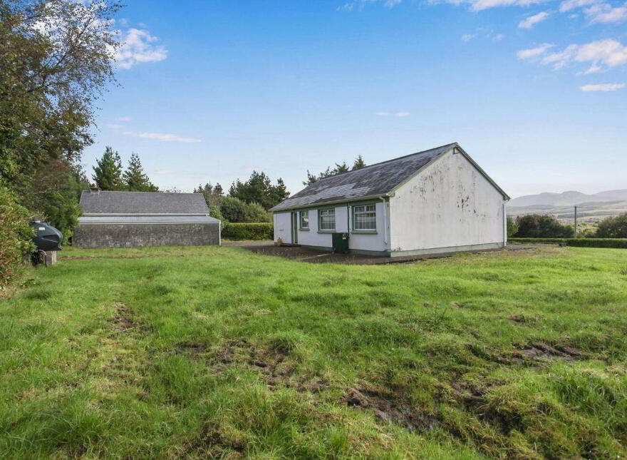 Islandboy, Derrymore, Derrymore, V23WV62