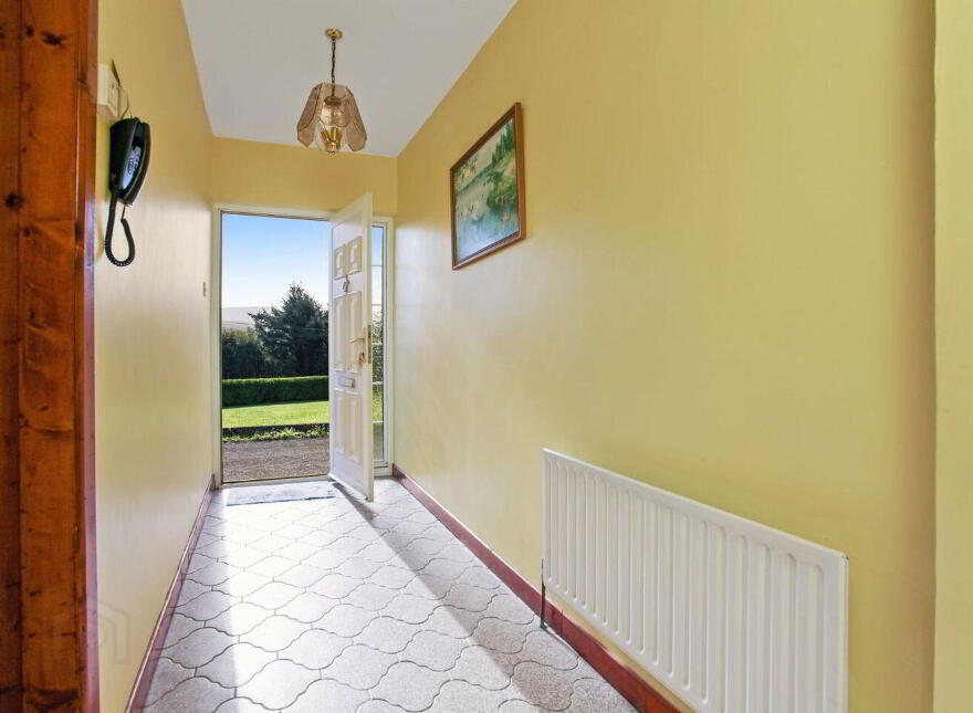 Islandboy, Derrymore, Derrymore, V23WV62