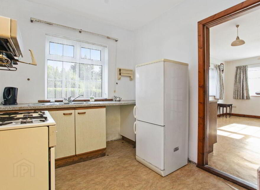 Islandboy, Derrymore, Derrymore, V23WV62