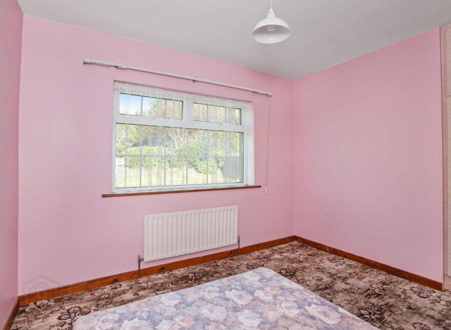 Islandboy, Derrymore, Derrymore, V23WV62