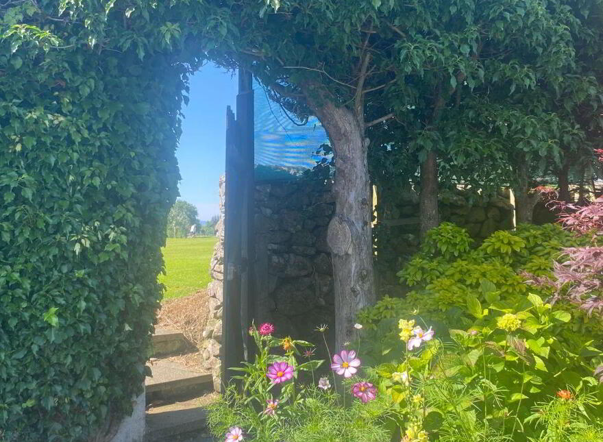 Hawthorn Avenue, Castlebar, F23RR43