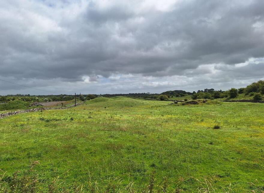 C.8 Acre Residential Farm At Knockaunakill, Mayo Abbey, Mayo, F12YY20