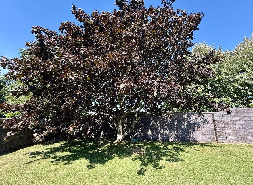 17 The Oaks, Bridgemount, Carrigaline, P43R635