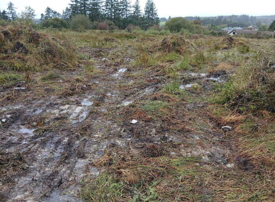 Glencollins, Ballydesmond photo