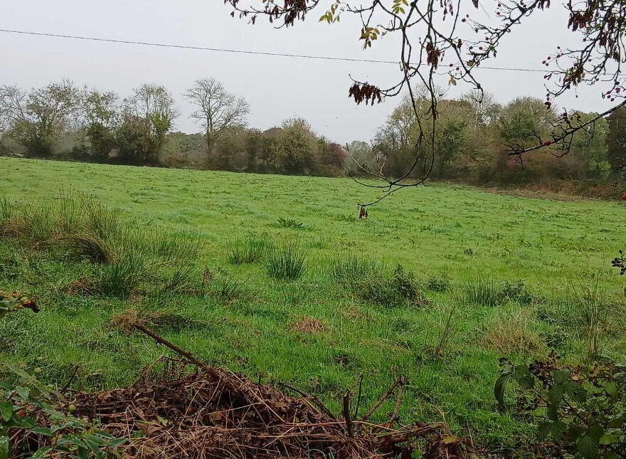 Rathmore Road, Knocknagree photo