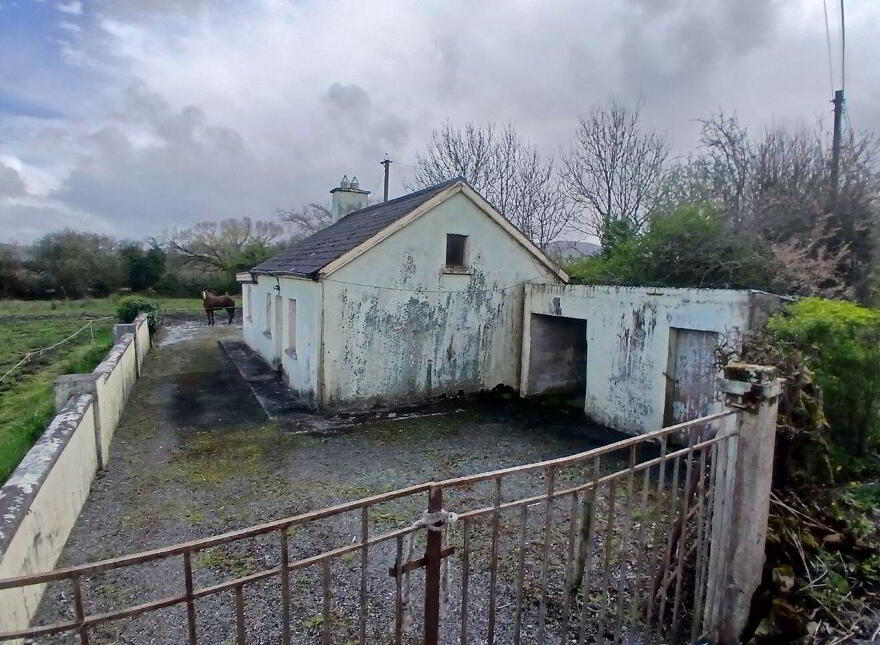 Lyredaowen, Rathmore, Millstreet, P51KRC4