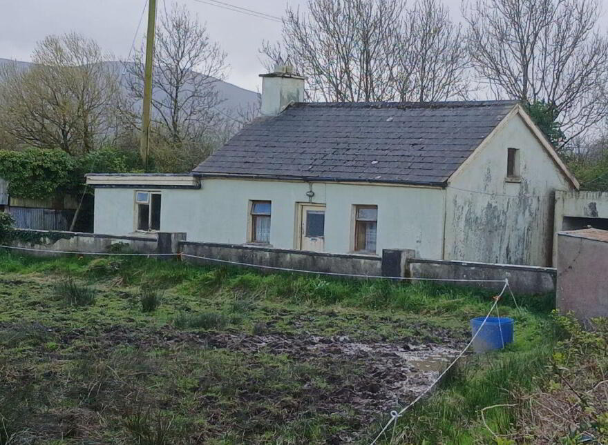 Lyredaowen, Rathmore, Millstreet, P51KRC4