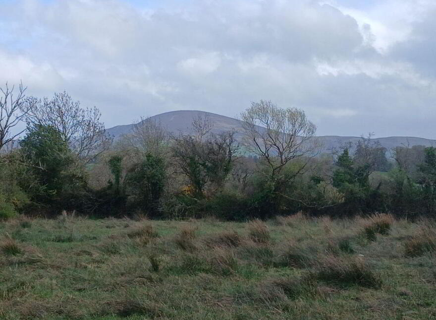 Lyredaowen, Rathmore, Millstreet, P51KRC4