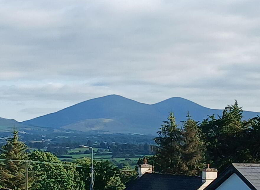 Lower Road, Knocknagree, P51CA4E