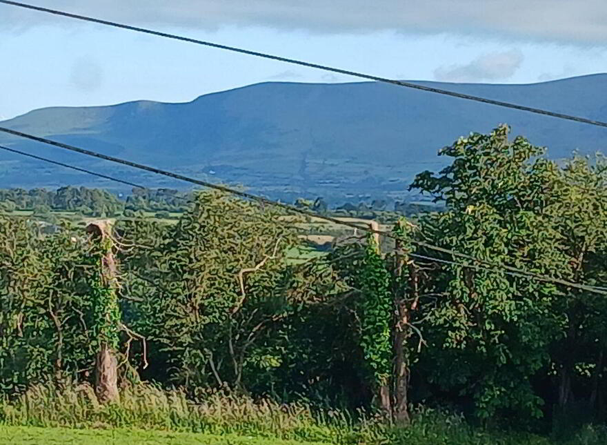 Lower Road, Knocknagree, P51CA4E