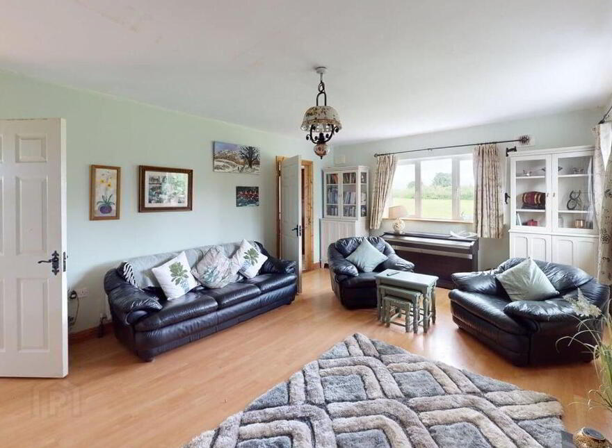 Newtown, Lusmagh, Banagher, Kilcomin, R42N702