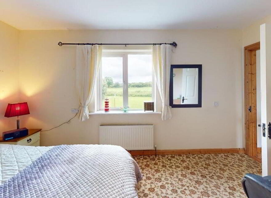 Newtown, Lusmagh, Banagher, Kilcomin, R42N702