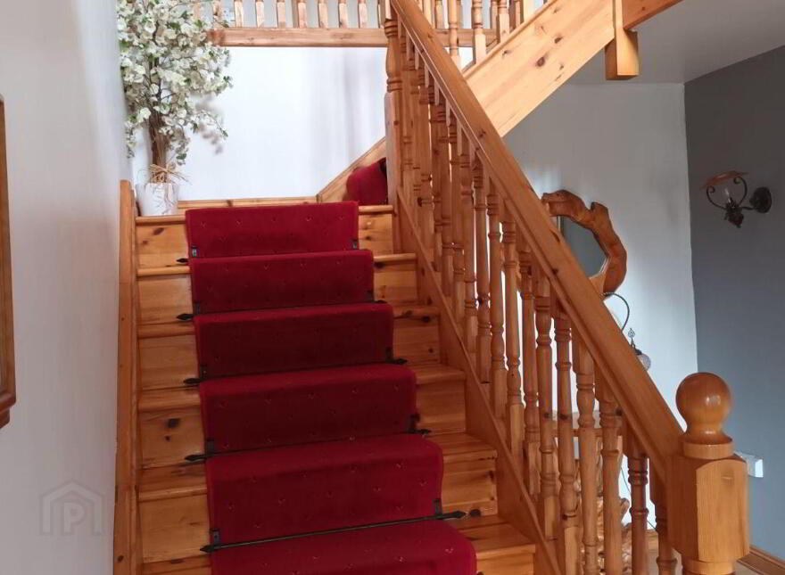 Newtown, Lusmagh, Banagher, Kilcomin, R42N702