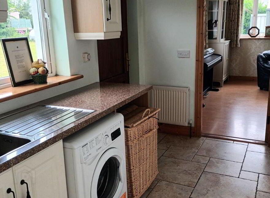 Newtown, Lusmagh, Banagher, Kilcomin, R42N702