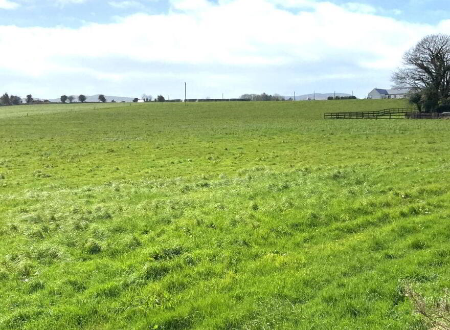 Tully, Glenroe photo
