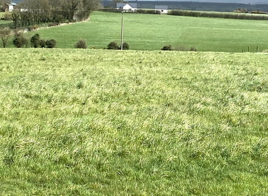 Tully, Glenroe
