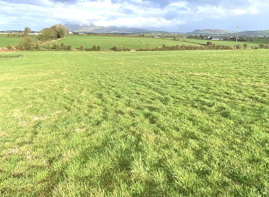 Tully, Glenroe