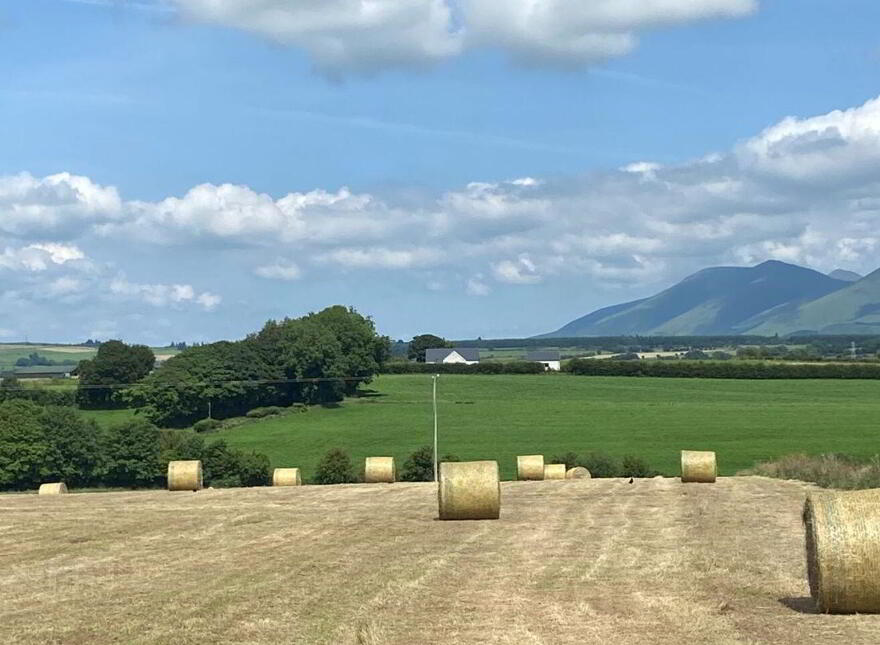 Tully, Glenroe