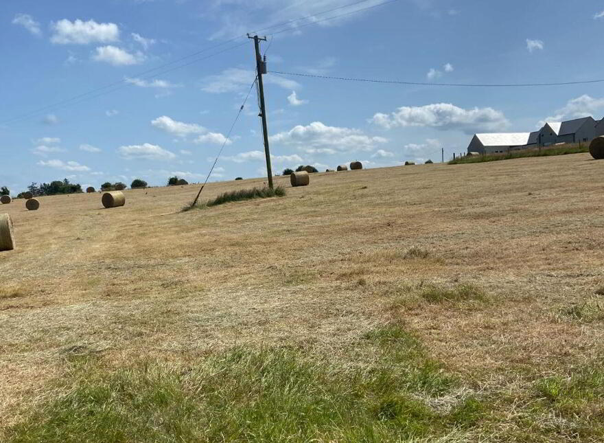 Tully, Glenroe