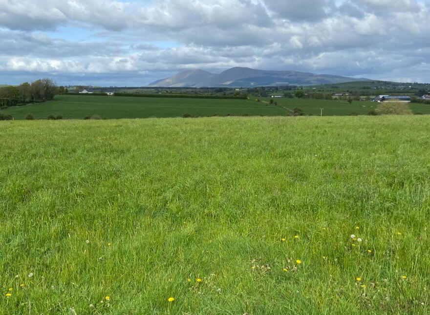 Mountain View, Tully, Glenroe, V35HT67 photo