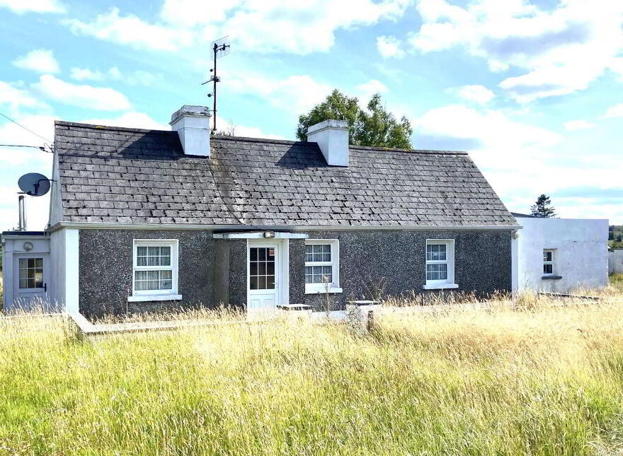 Corgorman, Arigna