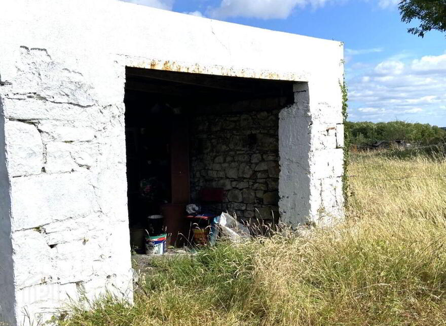 Corgorman, Arigna