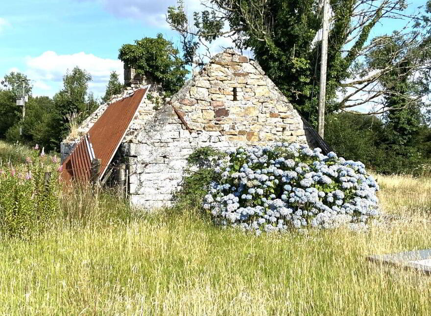 Corgorman, Arigna