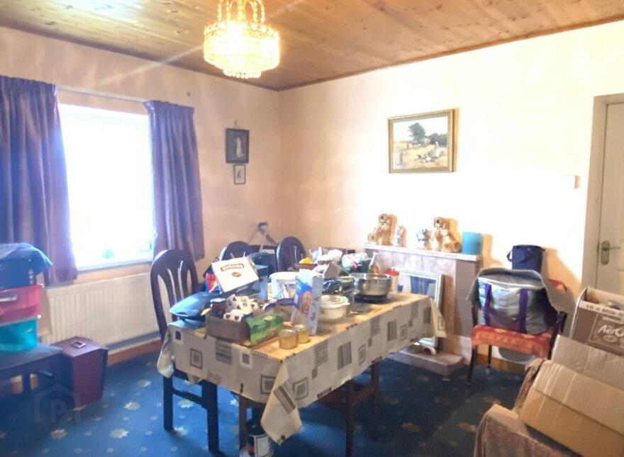Corgorman, Arigna
