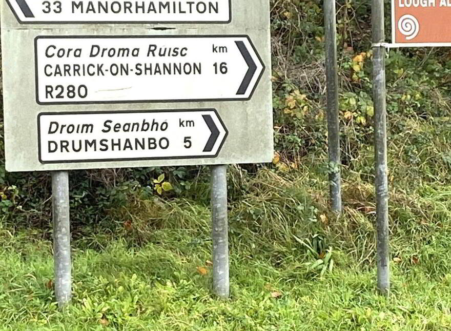 Corgorman, Arigna