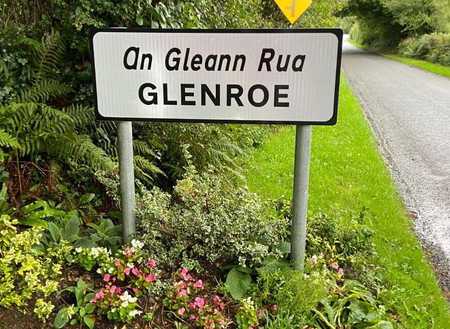Ballyshane, Glenroe photo