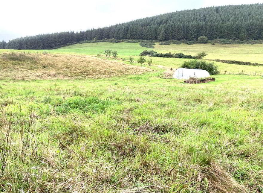 Ballyshane, Glenroe