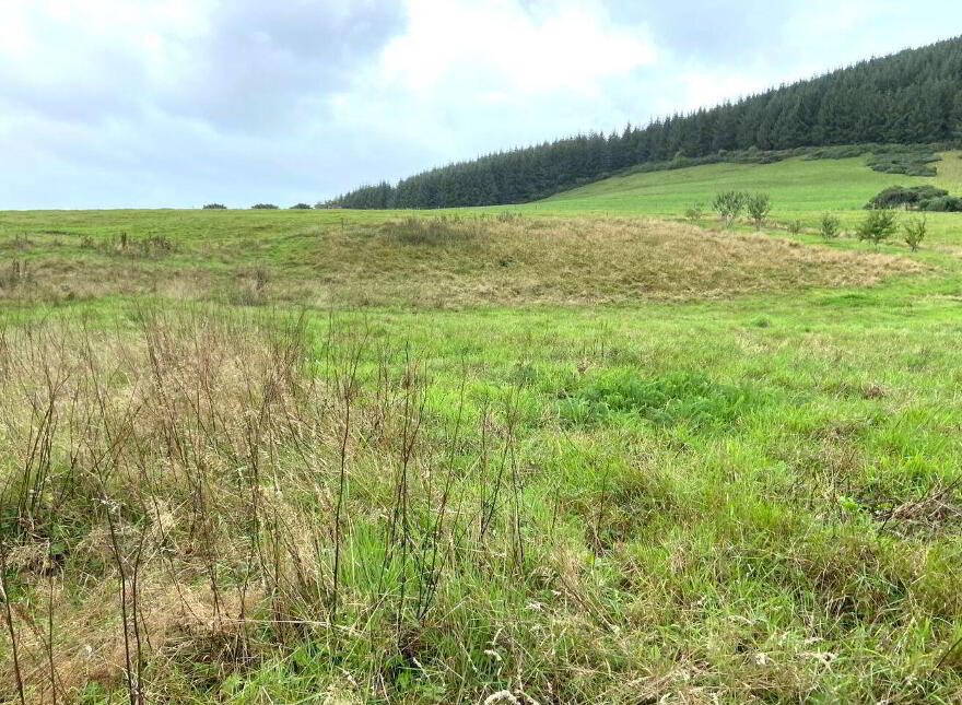 Ballyshane, Glenroe