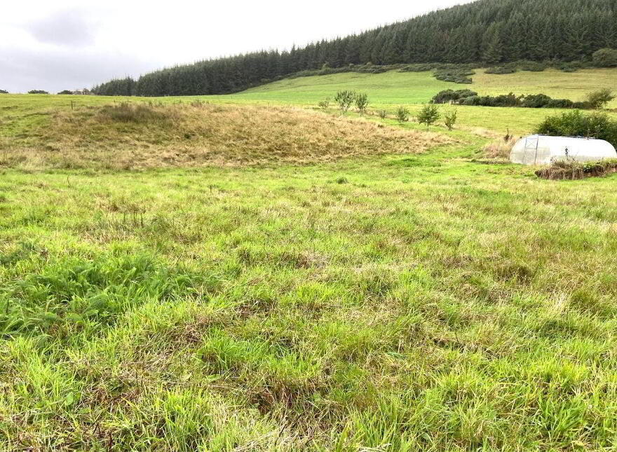 Ballyshane, Glenroe