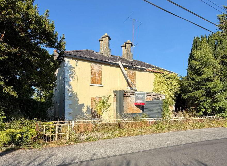 Poolboy, Ballinasloe, H53WY88 photo