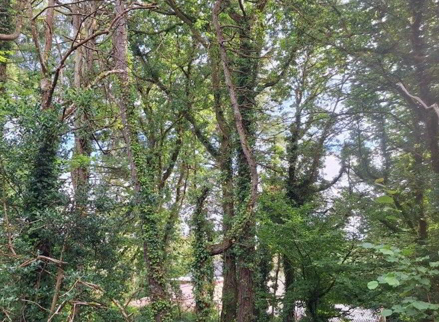 The Residence, Kilmovee, F45PK58